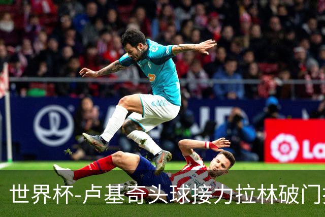 世界杯-卢基奇头球接力拉林破门扳平 加拿大1-1波黑